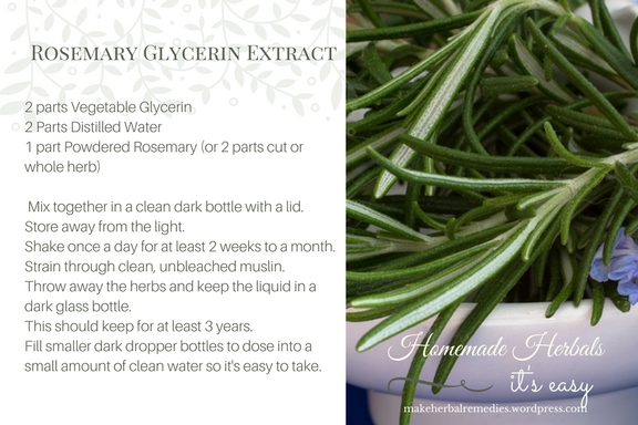 Homemade Herbals Recipe Rosemary Glycerine Extract4.jpg